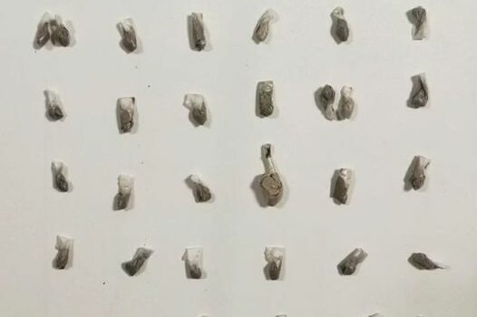 Traficante de heroína detido no Fundão