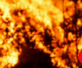 Vila de Rei em perigo máximo de incêndio nesta segunda-feira