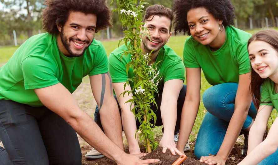 Voluntariado Jovem para a Natureza e Florestas