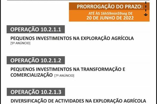 Zona do Pinhal