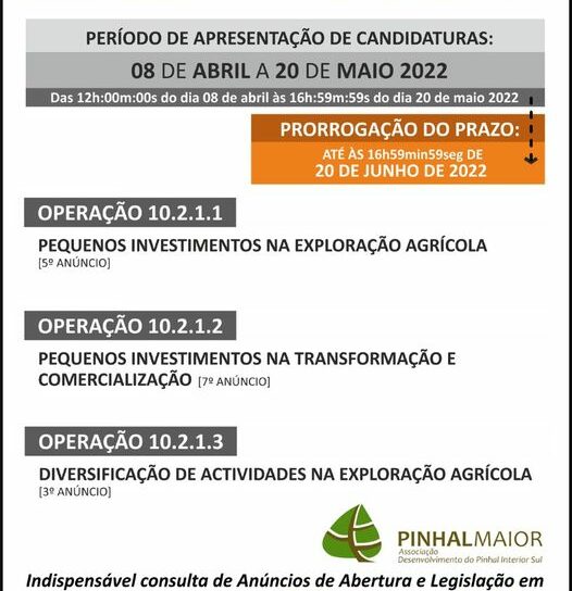 Zona do Pinhal