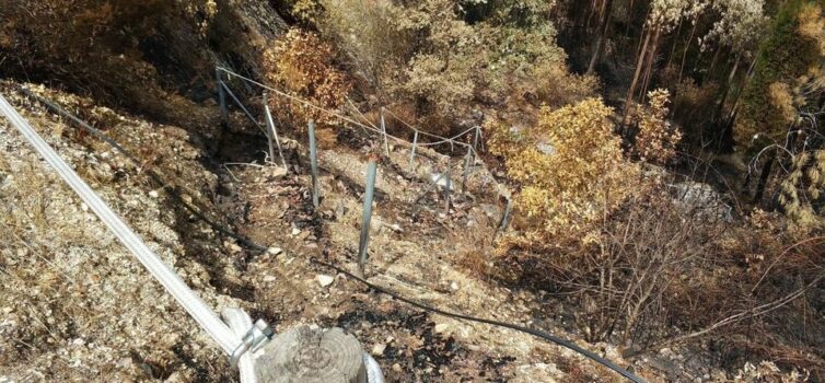 100 voluntários limpam trilho destruído pelos incêndios