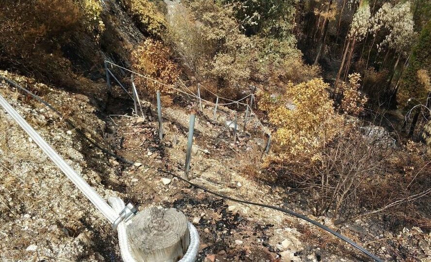 100 voluntários limpam trilho destruído pelos incêndios