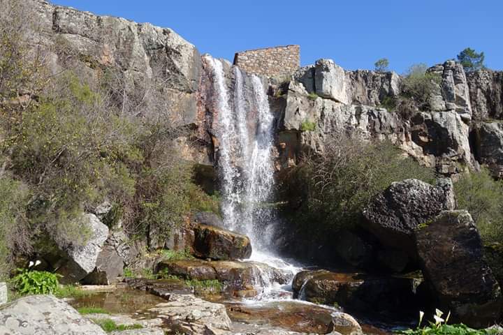 Vila de Rei