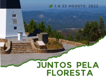 Vila de Rei
