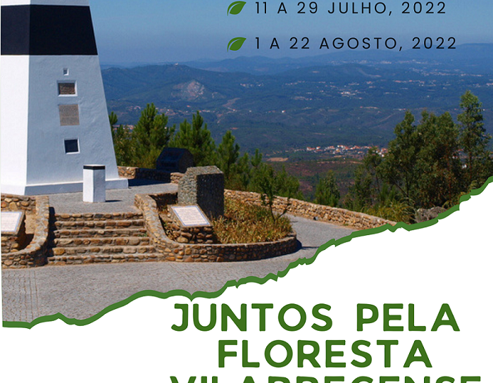 Vila de Rei