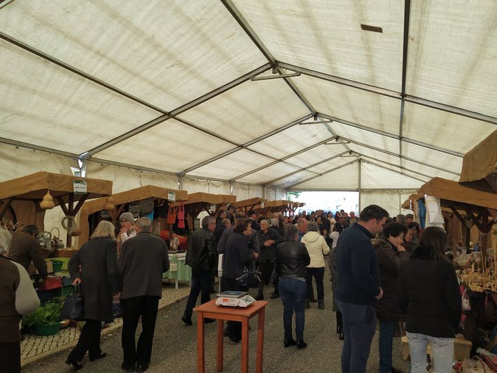 Vila de Rei