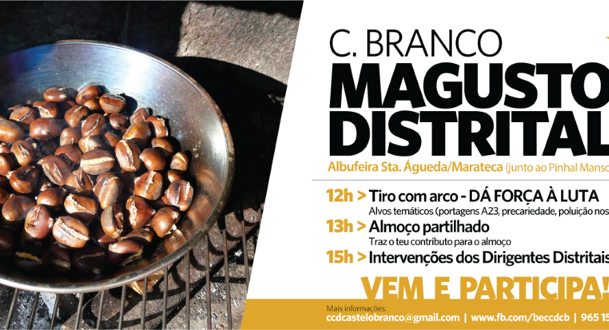 Castelo Branco