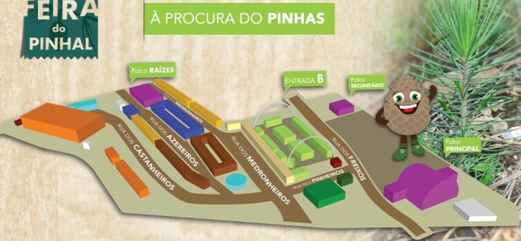 Oleiros