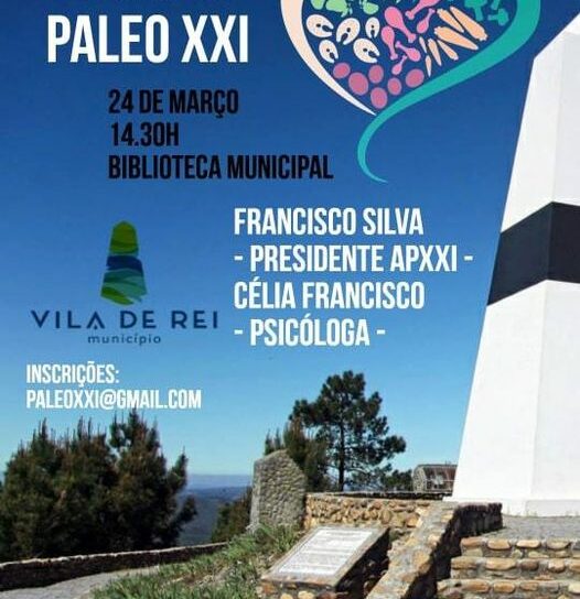 Vila de Rei