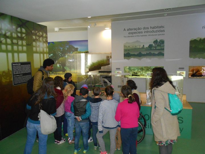 Penamacor
