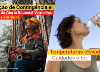 Sertã