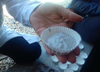 Sertã