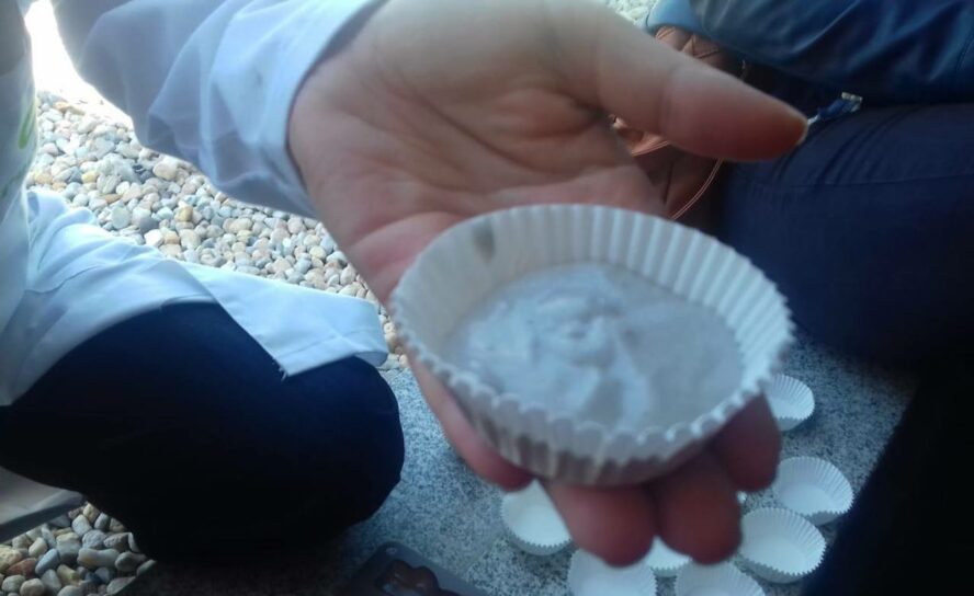 Sertã