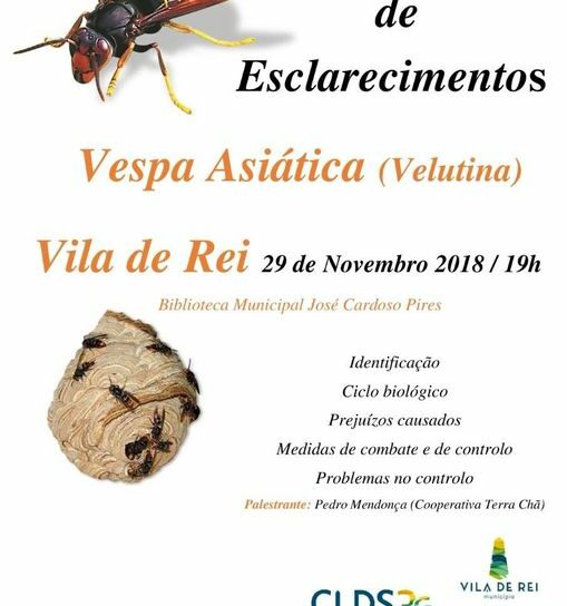 Vila de Rei