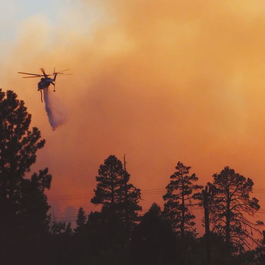 Incêndio na Covilhã