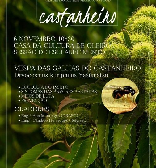 Oleiros