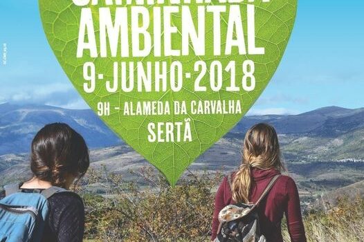 Sertã