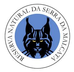 Penamacor