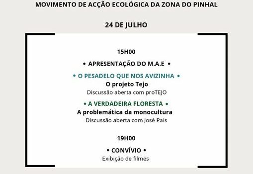 Vila de Rei
