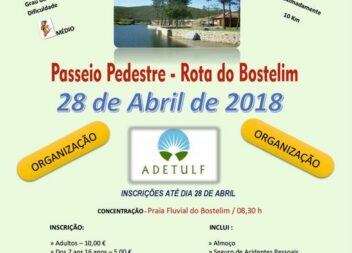 Vila de Rei