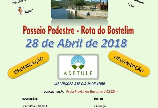 Vila de Rei