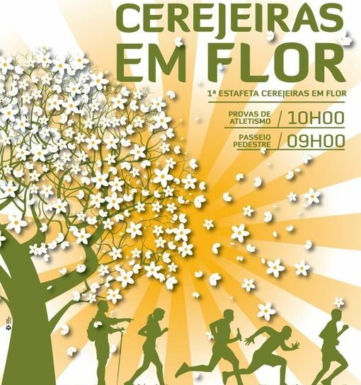 Fundão