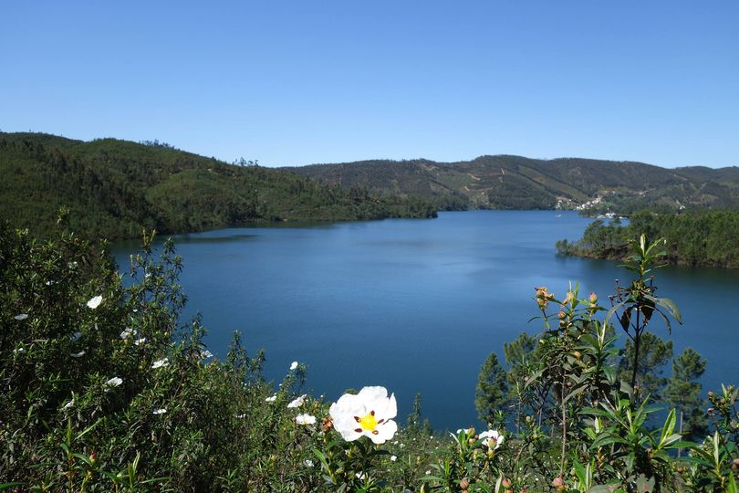 Vila de Rei