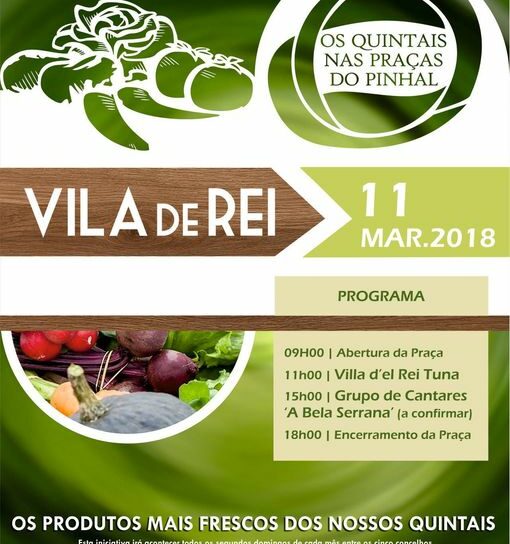 Vila de Rei