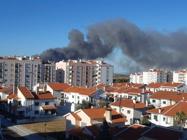 Incêndio em Castelo Branco
