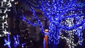 A Beira Baixa TV deseja a todos um  Feliz Natal e os votos de um feliz 2018.