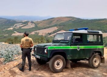 A proteção da floresta depende de cada um de nós!