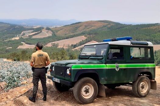 A proteção da floresta depende de cada um de nós!