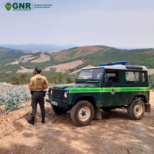 A proteção da floresta depende de cada um de nós!