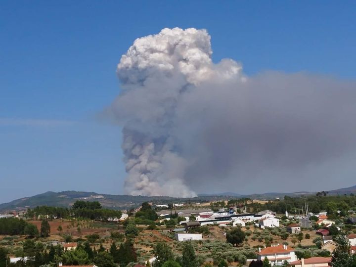 Animais morrem no incêndio em Fundão