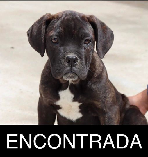 Atualização