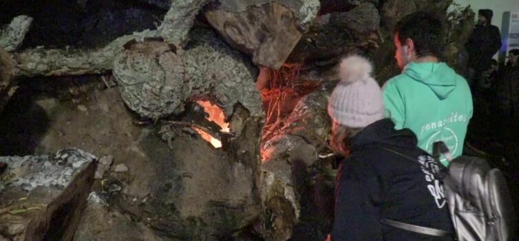 Beira Baixa TV EM DIRETO Madeiro em Penamacor