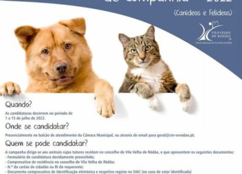 Câmara Municipal de Vila Velha de Ródão promove Campanha de Esterilização de Ani
