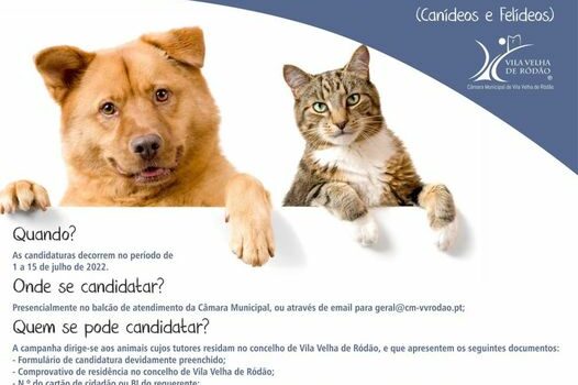 Câmara Municipal de Vila Velha de Ródão promove Campanha de Esterilização de Ani