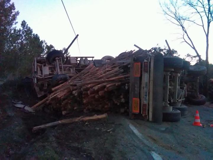 Despiste em Sarnadas de Ródão