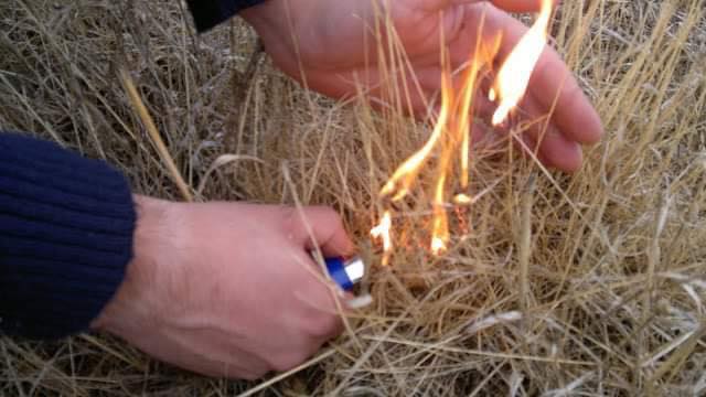 Detido incendiário de 19 anos de idade
