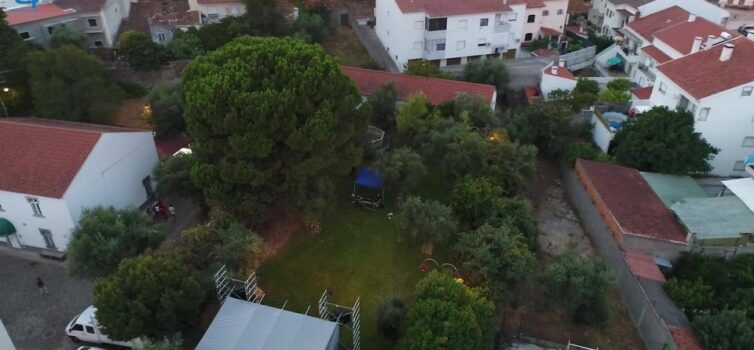 Festival Sintonias evento de relevo em Castelo Branco