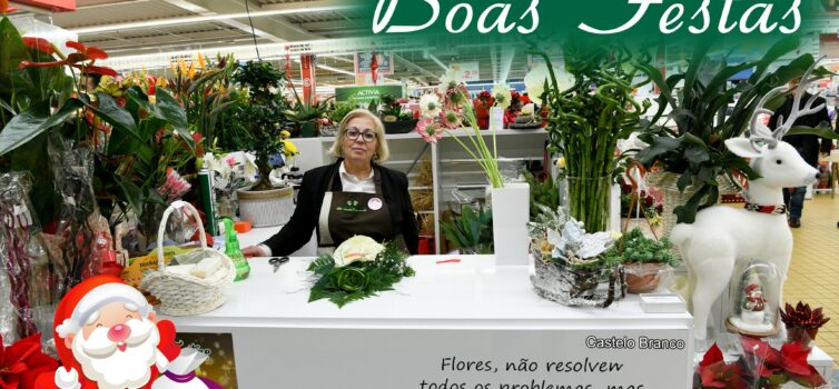 Flor e Planta