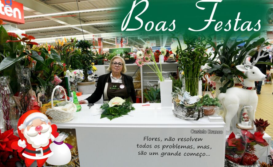 Flor e Planta