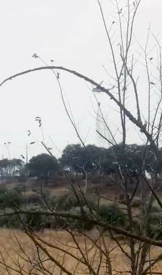Incêndio agrícola em Castelo Branco
