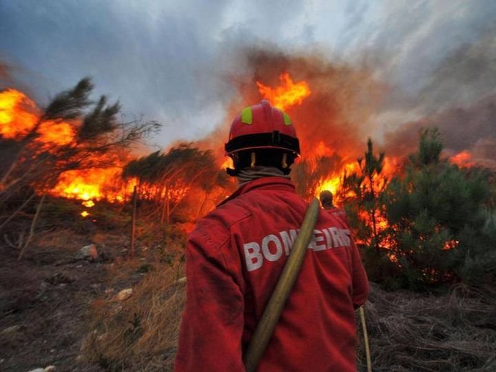 Incêndio em Pedrógão Grande