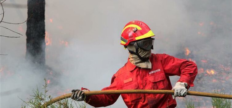 Incêndio em Proença-a-Nova em fase de conclusão