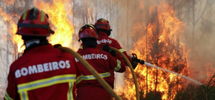 Incêndio junto ao IC8 - Sertã