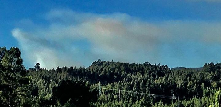 Incêndio na Sertã