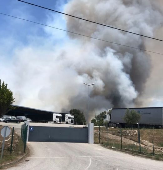 Incêndio perto da Guarda mobiliza mais de 100 bombeiros e 8 meios aéreos.